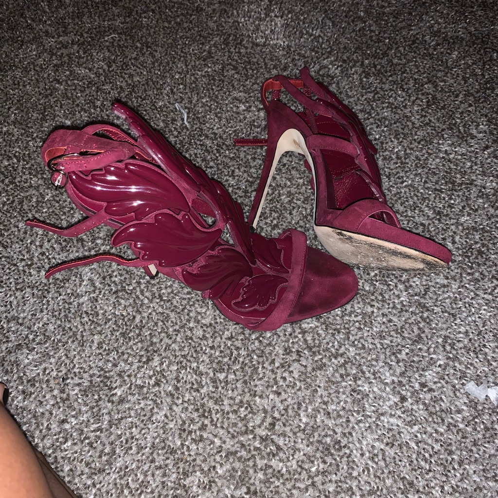 Giuseppe Zanotti